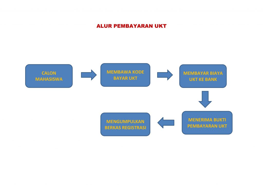 Alur Pembayaran UKT