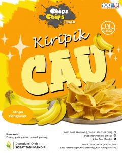 Chips Chips Snack
